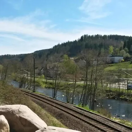 Baer